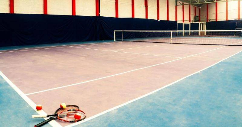 Pexels/Elchino portrait